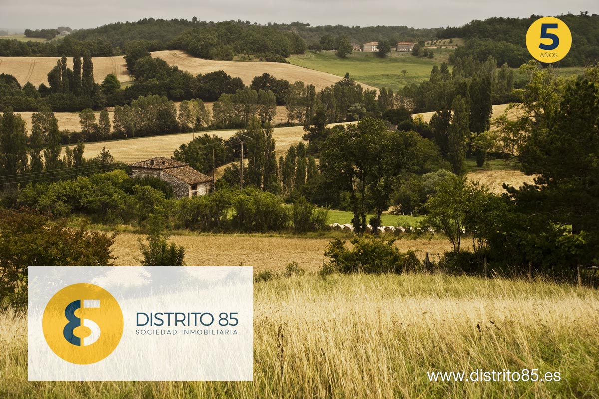 Panorámica de fincas rústicas